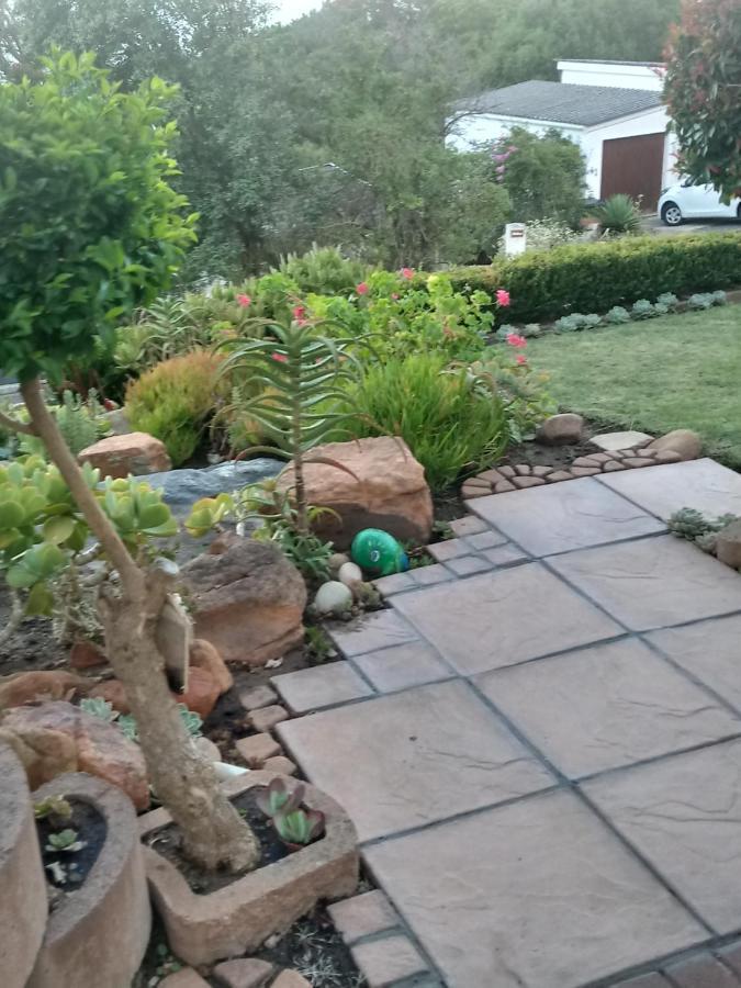 Froggy Bay Is The Best All The Way! Simonʼs Town Exterior foto